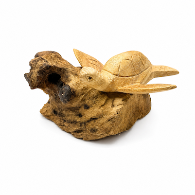 Small Turtle on Driftwood Statue